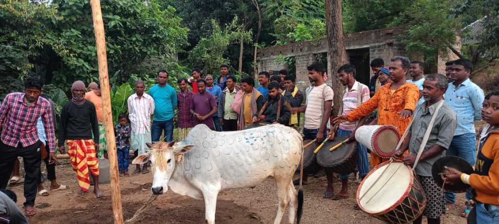 সাঁওতালি সহরায় সেরেঞ//Santali sohoray Sereng